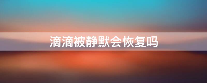 滴滴被静默会恢复吗（滴滴被静默了软件有显示吗）