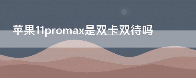 iPhone11promax是双卡双待吗 iphone 11 pro max是双卡双待的吗