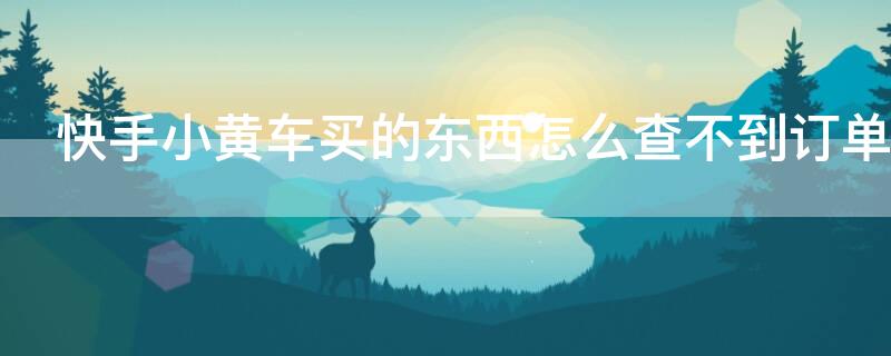 快手小黄车买的东西怎么查不到订单（我在快手小黄车买的东西怎么看不到订单）