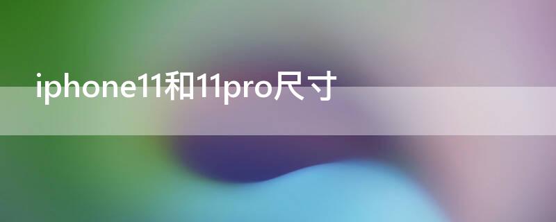 iPhone11和11pro尺寸（iphone11与iphone11pro尺寸区别）