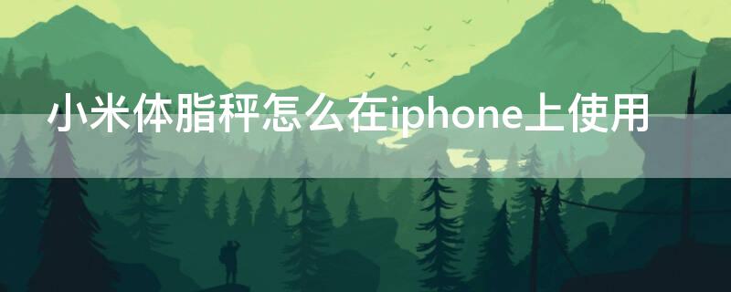 小米体脂秤怎么在iPhone上使用 小米体脂称iphone