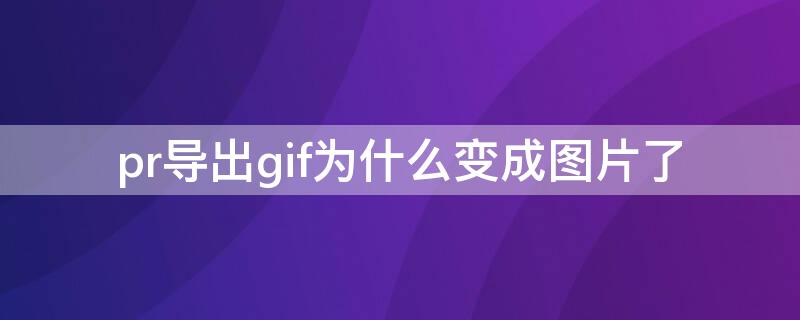 pr导出gif为什么变成图片了 pr gif导出为什么是图片