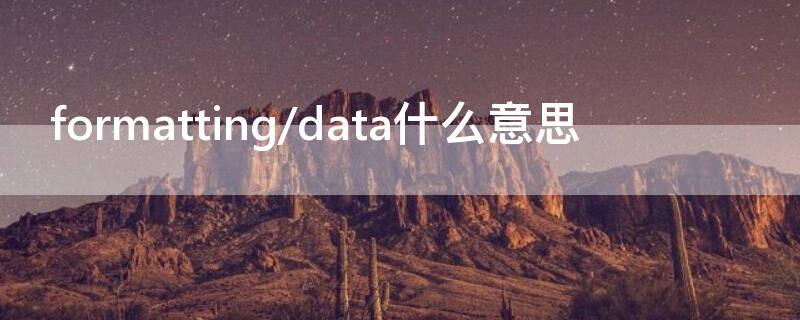 formatting/data什么意思 formatting date