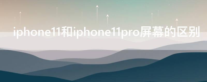 iPhone11和iPhone11pro屏幕的区别（apple11和11pro屏幕区别）