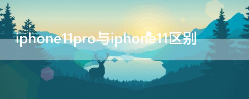 iPhone11pro与iPhone11区别 iphone11pro和iohone11