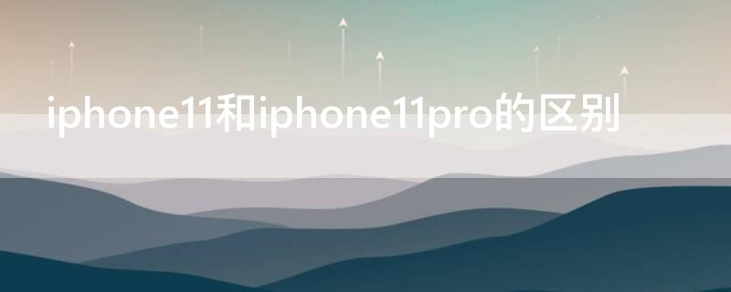 iPhone11和iPhone11pro的区别（iphone11和iphone11pro的区别对比）
