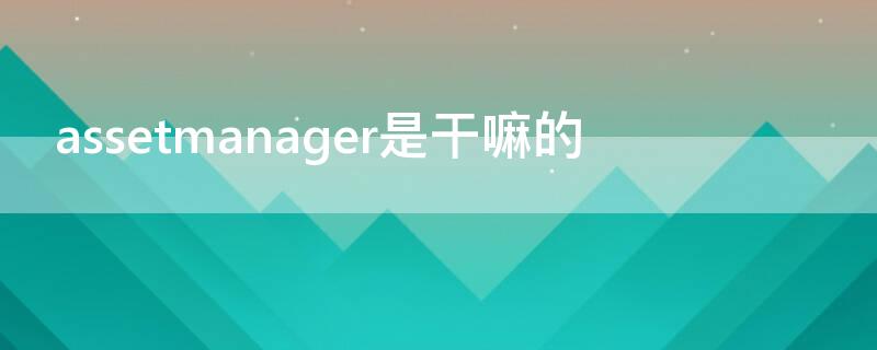 assetmanager是干嘛的（asset manager code）