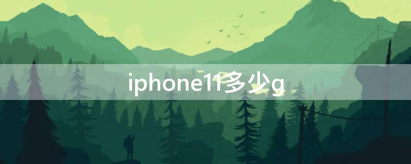 iPhone11多少g（iphone11多少g内存）