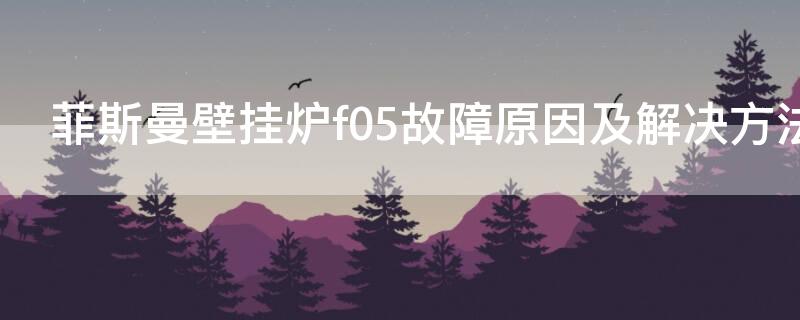 菲斯曼壁挂炉f05故障原因及解决方法（菲斯曼壁挂炉故障代码f00）