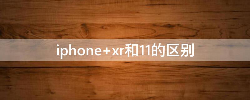 iPhone xr和11的区别