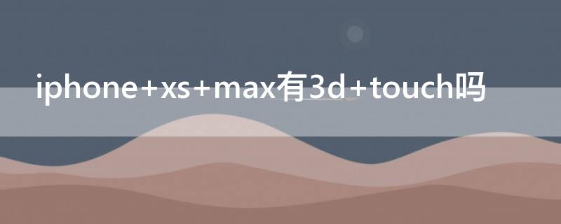 iPhone xs max有3d touch吗