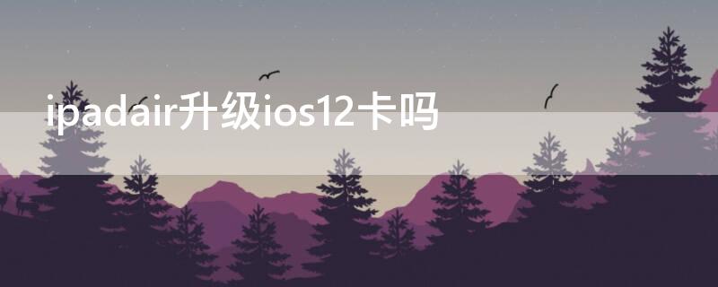 ipadair升级ios12卡吗