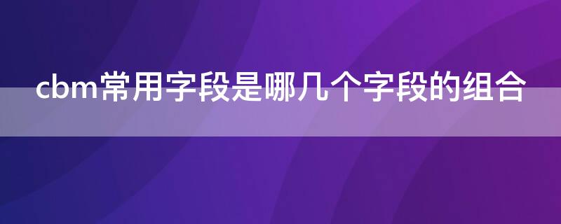 cbm常用字段是哪几个字段的组合（cbm数据库常用有哪些检索字段）