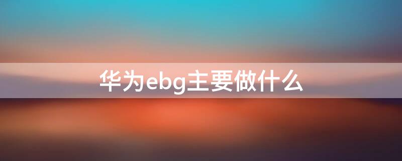 华为ebg主要做什么