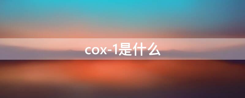cox-1是什么（cox-1是什么意思啊医学）