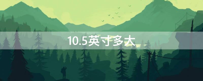 10.5英寸多大 10.5英寸多大实物比较