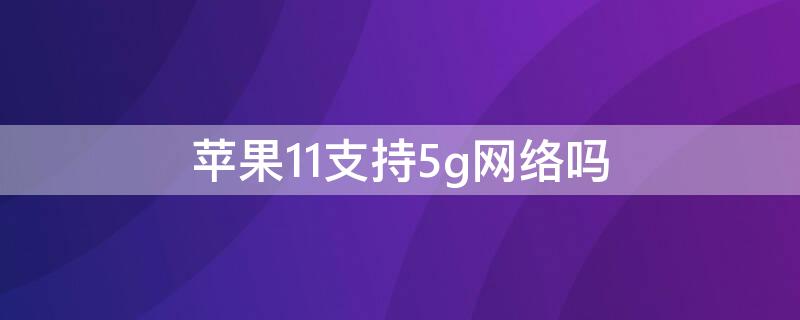 iPhone11支持5g网络吗（iphone13有5g功能吗）
