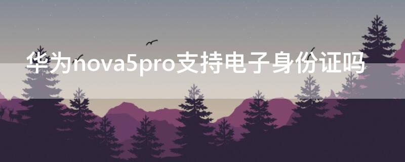 华为nova5pro支持电子身份证吗 华为nova5pro可以刷身份证吗