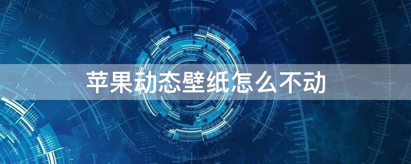 iPhone动态壁纸怎么不动（苹果动态壁纸怎么不会动）
