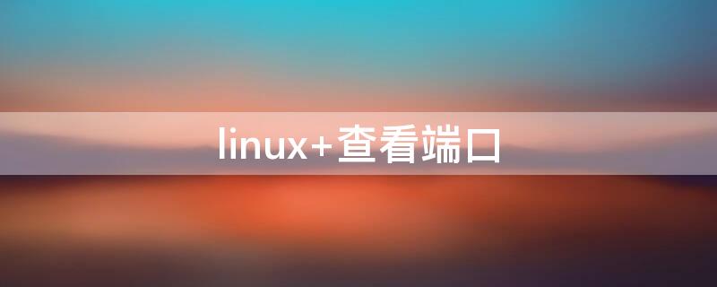 linux 查看端口