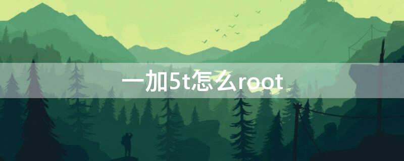 一加5t怎么root（一加5t怎么恢复出厂设置）