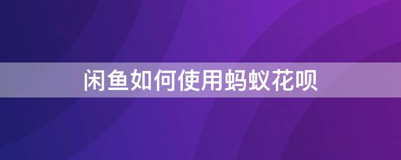 闲鱼如何使用蚂蚁花呗 闲鱼如何使用蚂蚁花呗支付