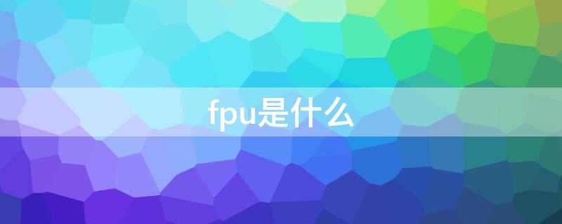 fpu是什么 fpu是什么意思