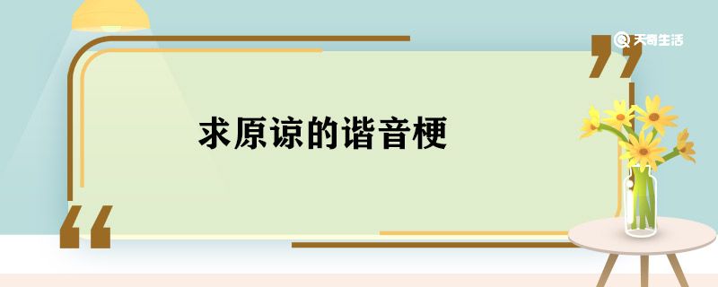 求原谅的谐音梗 求原谅谐音梗句子