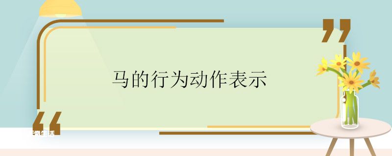 马的行为动作表示 马的行为动作表示什么