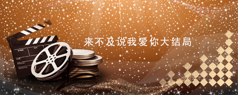 来不及说我爱你大结局 来不及说我爱你大结局剧情