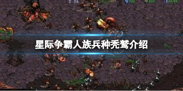 星际争霸人族有哪些兵种 星际争霸人族兵种介绍