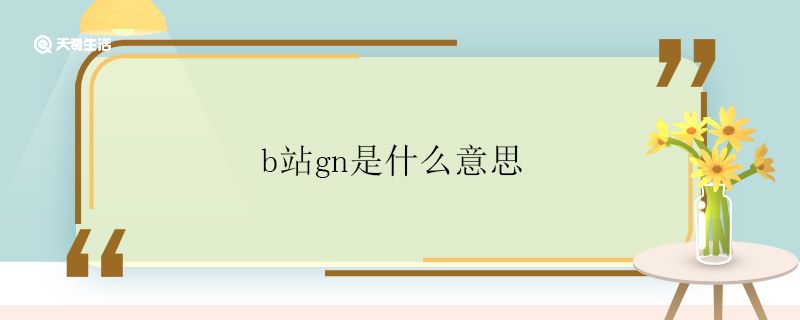 b站gn是什么意思