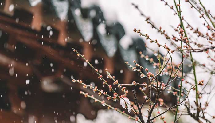 三月的桃花水是春天的什么仿写