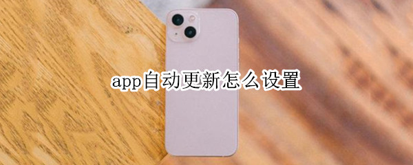 app自动更新怎么设置（苹果12app自动更新怎么设置）