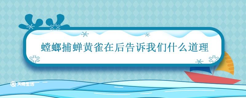 螳螂捕蝉黄雀在后告诉我们什么道理