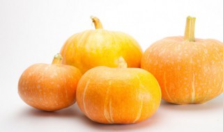 梦到南瓜 梦到南瓜是什么预兆男孩女孩