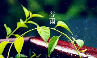 2022年三月二十日谷雨节气有什么宜忌 2021年十月有什么节气