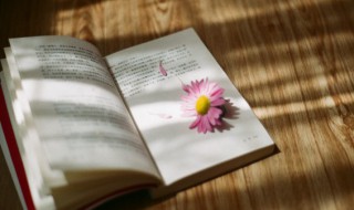 描写桃花的诗句有哪些 描写桃花的诗句有哪些四年级