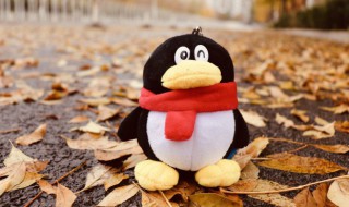 很好看的QQ漂流瓶昵称(网名漂流瓶是什么意思)