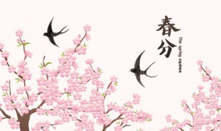 2022年春分的寓意和象征（春分的美好寓意和象征）