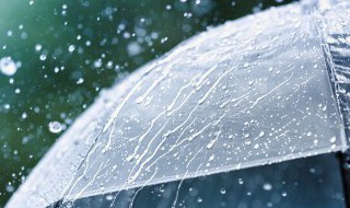 春分节气下雨好还是不下雨好 春分不下雨好不好