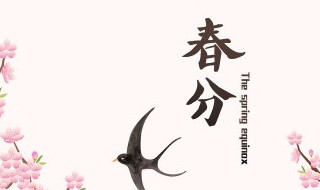 2022年春分日在几点几分（2022年春分是几月几号几点几分）