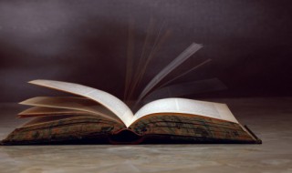 北极四圣都是谁（北极四圣都有谁）