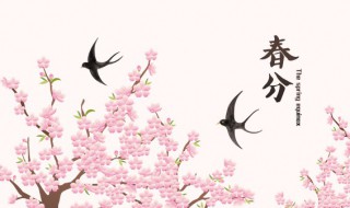 2022年春分时间几点 春分时间2020几点几分