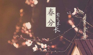 2022年春分是几时几分几秒 2022年立春时间几点几分几秒