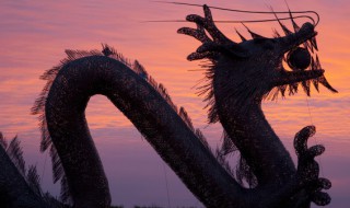 二月二龙抬头有哪些讲究和禁忌（二月二龙抬头的宜忌）