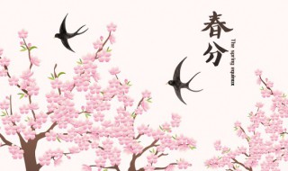 南方春分种什么菜（南方春分种什么菜蔬菜最合适）