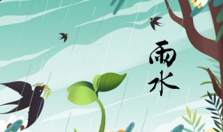 雨水节气天气特点(雨水节气的天气特点)