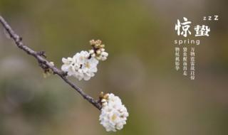 惊蛰的蛰什么意思 惊蛰惊蛰是什么意思