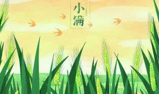 2022年小满是农历几月几日（2020小满是几月几日日几点）